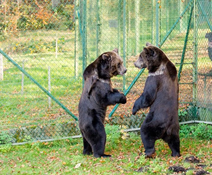 Wild- Und Freizeitpark